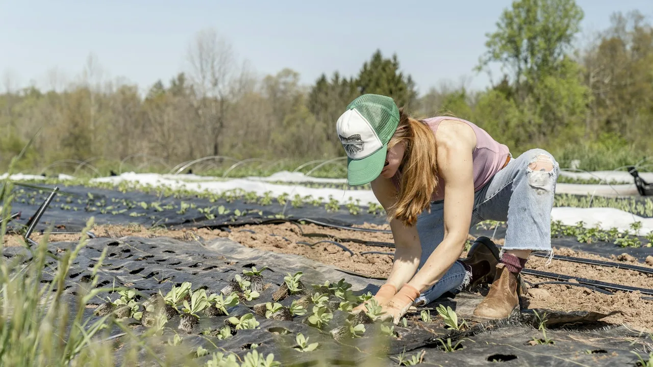 Citoyens et scolaires participant à un chantier de régénération naturelle
